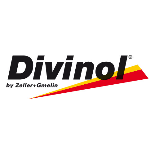 Купить моторное масло Divinol Multimax Extra 10W-40, в интернет-магазине в Москве