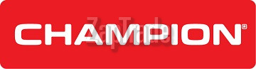 Купить моторное масло Champion oil ACTIVE DEFENCE 15W40, в интернет-магазине в Москве
